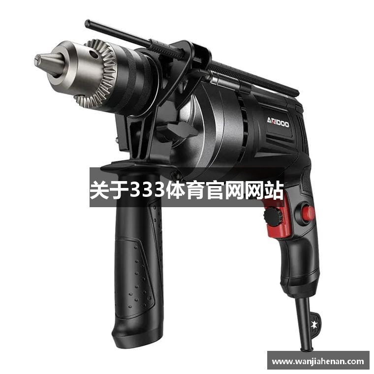 关于333体育官网网站